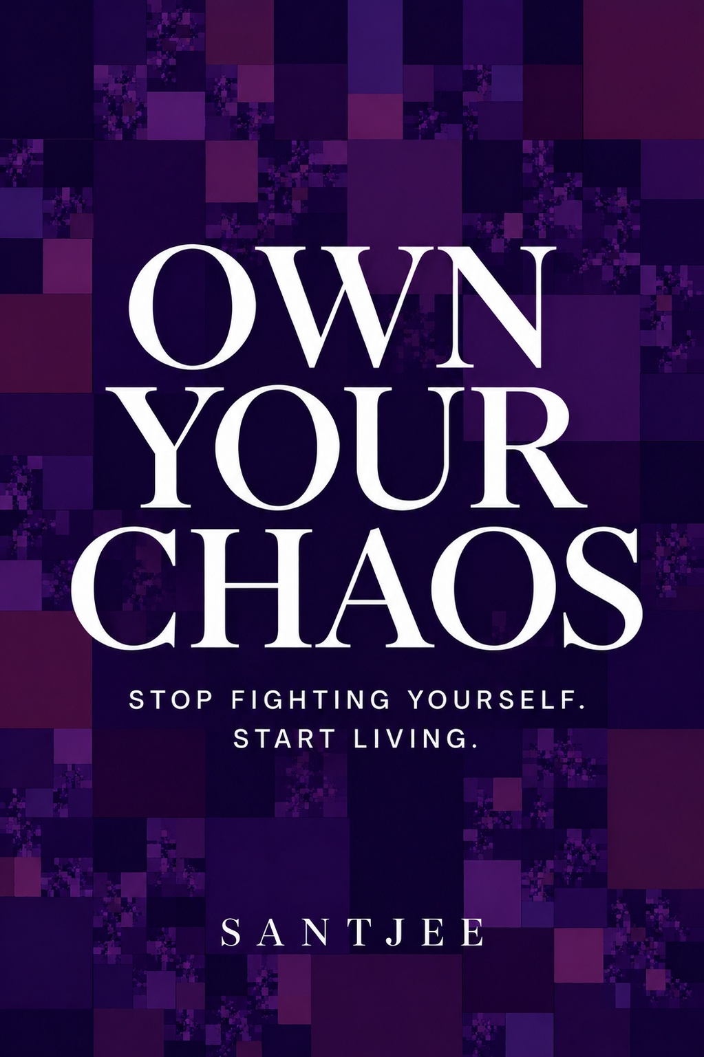 Own Your Chaos — Santjee
